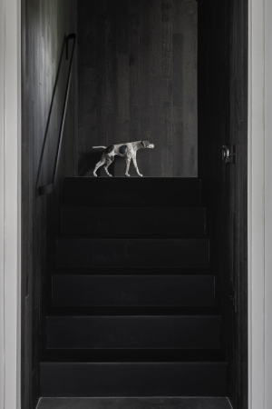 Sanierung und Neubau von Jones Architects in Wales