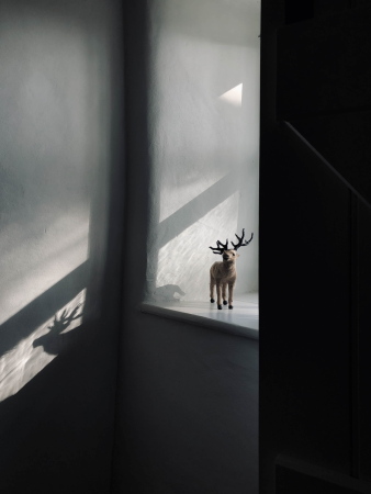 Sanierung und Neubau von Jones Architects in Wales