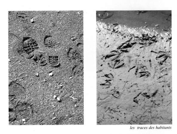 Fotos aus Enfin chez soi, Rhabilitation de Prfabriqus