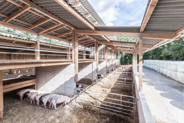 Biolandhof (Schweinestall) in Sch�rdt, Deutschland, 2019, Architektur: Max & Jakob Giese Architektur