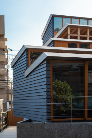 Galerie und Wohnhaus von Kompas Architects