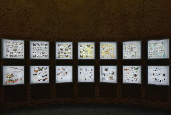 Insektarium von Kuehn Malvezzi