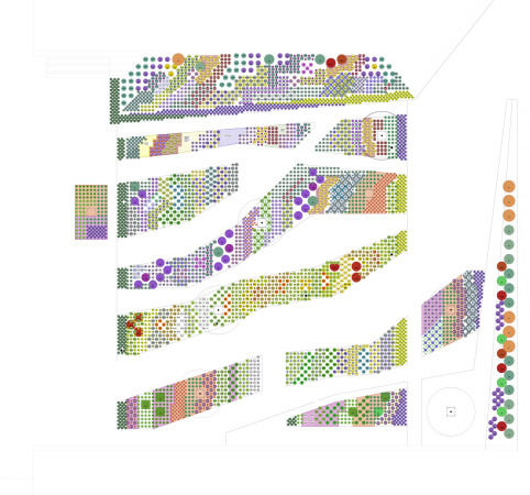 Schmetterlingsgarten