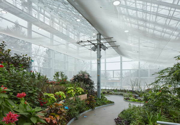 Insektarium von Kuehn Malvezzi