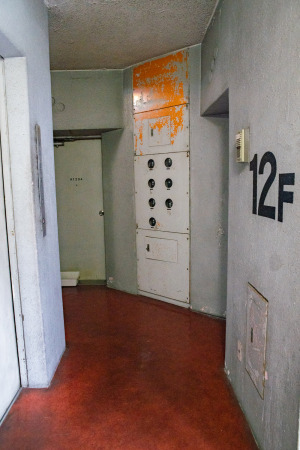 Foto: Dick Thomas Johnson/Wikimedia CC BY 2.0