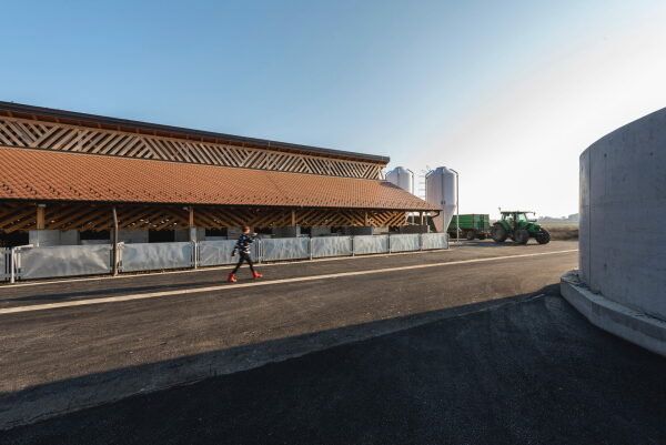 Schweinefarm in Kroatien von SKROZ architecture