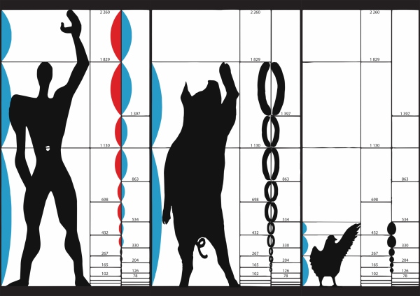 Schweinefarm in Kroatien von SKROZ architecture