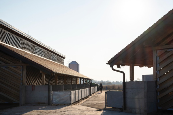 Schweinefarm in Kroatien von SKROZ architecture