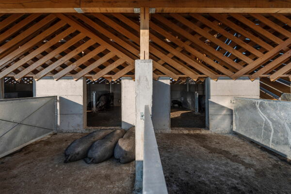 Schweinefarm in Kroatien von SKROZ architecture