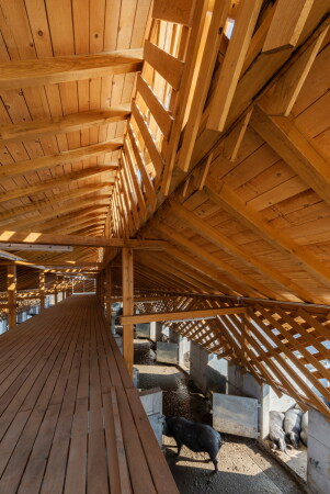 Schweinefarm in Kroatien von SKROZ architecture
