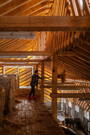 Schweinefarm in Kroatien von SKROZ architecture