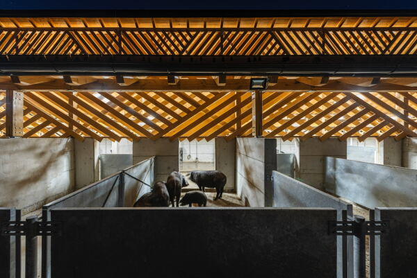 Schweinefarm in Kroatien von SKROZ architecture