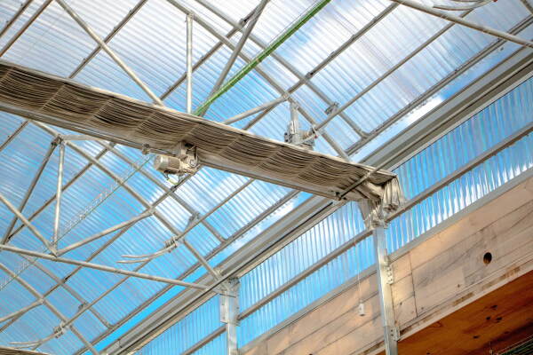 Nachwuchspreis: La Borda in Barcelona von Lacol