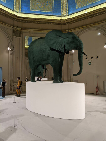 Im Padiglione Centrale in den Giardini macht ein grnlich schimmernder Elefant von Katharina Fritsch den Auftakt.