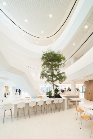 Bankzentrale von Baumschlager Eberle Architekten