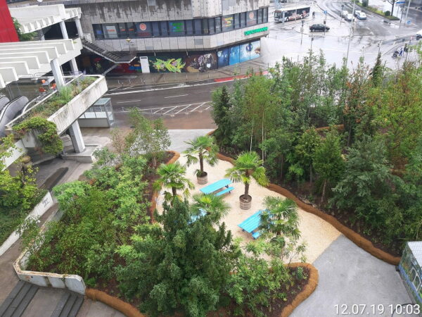 Auszeichnung in der Kategorie Klimaanpassung: Klimawldchen am Wollhausplatz in Heilbronn, Stadt Heilbronn, Grnflchenamt