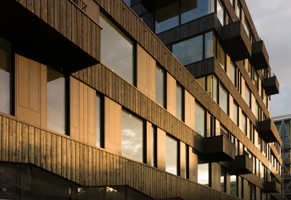 Frizz 23 von Deadline - Finalist