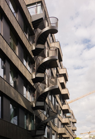 Frizz 23 von Deadline - Finalist