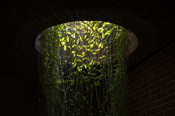 Hochschulgebude in Dhaka von Kashef Chowdhury