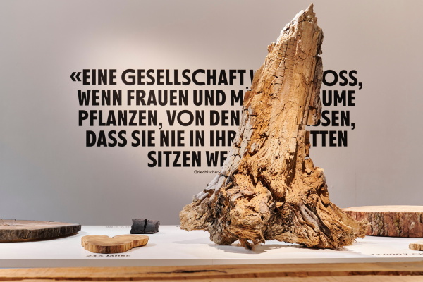 Ausstellungsbereich Holz braucht Zeit