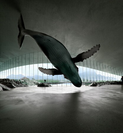 The Whale auf den Lofoten in Nordnorwegen