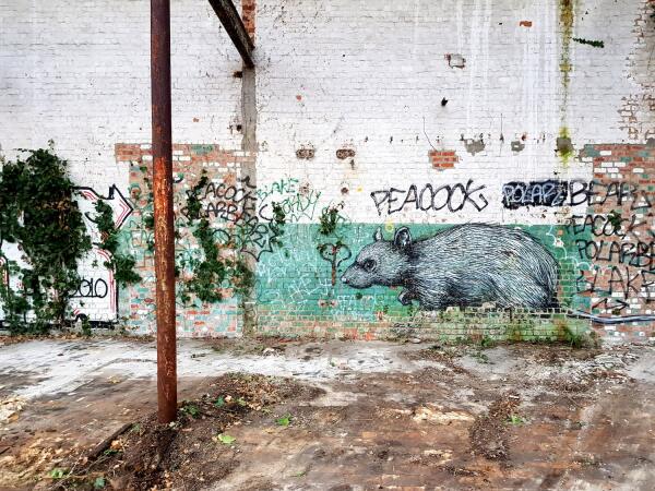 Stdtischer Wohnungsbau von Bogdan & Van Broeck