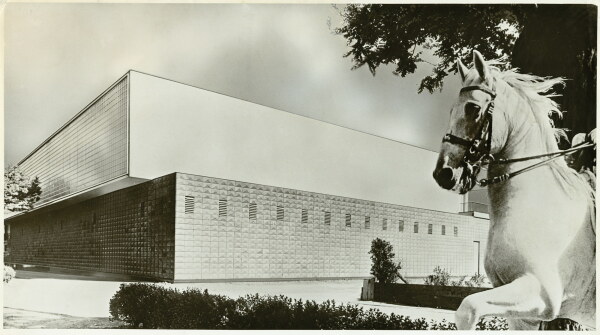 Fotomontage des Reitvereins von Carlo Mollino, 1941.