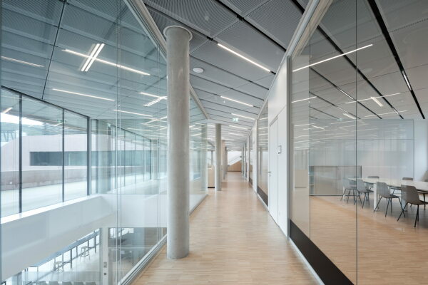 Franz&Sue mit Maurer & Partner