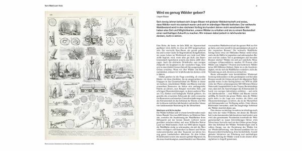 Material, Architektur, Zukunft