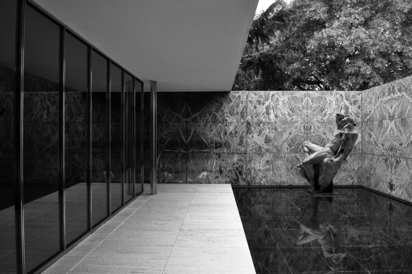 Barcelona Fau II (LMVDR x Barberini Faun)