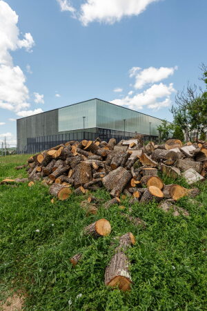 Gemeindesporthalle bei Zagreb von NOP Studio