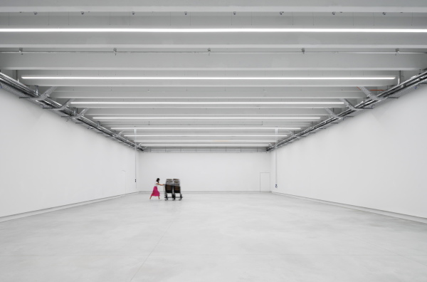 Umbau von Scapelab in Ljubljana