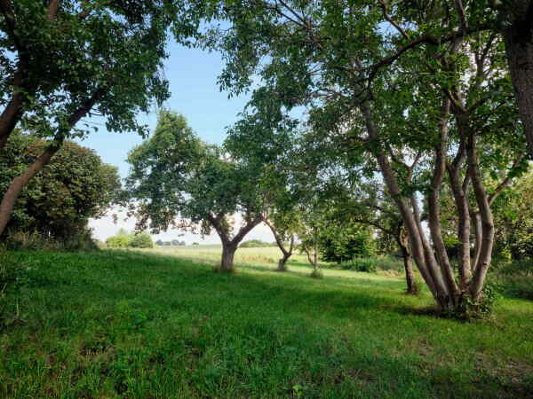 Ferienhaus von Thomas Krger Architekten