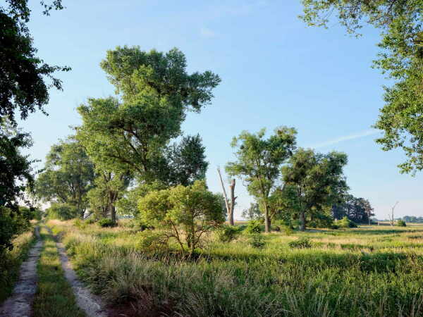 Ferienhaus von Thomas Krger Architekten