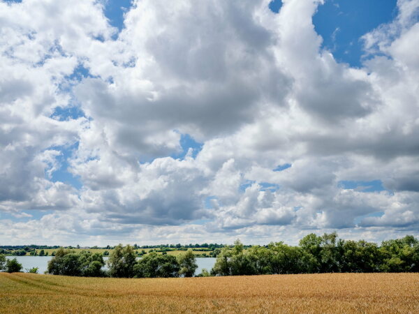 Ferienhaus von Thomas Krger Architekten