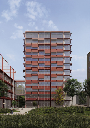 Allianz fr die Jugend von Lorena Stephan und Sylvia Brstle