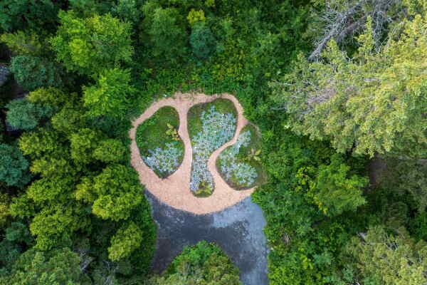 LICHEN von Marie-Pier Gauthier-Manes (Montral, Kanada) , Chlo Isaac, Victor Roussel (Paris, Frankreich)
