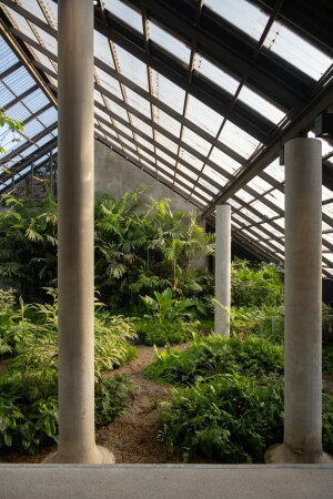 Wohnhaus mit Hundehotel von EKAR in Thailand