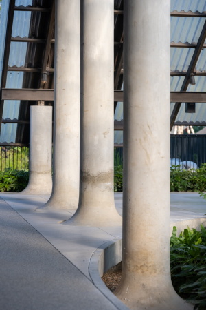Wohnhaus mit Hundehotel von EKAR in Thailand
