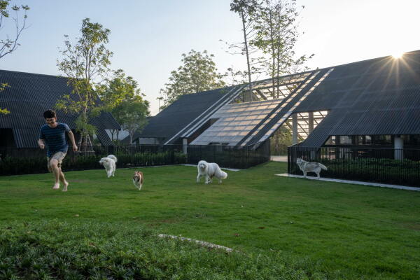 Wohnhaus mit Hundehotel von EKAR in Thailand