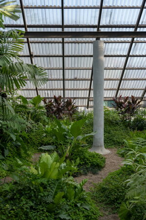 Wohnhaus mit Hundehotel von EKAR in Thailand