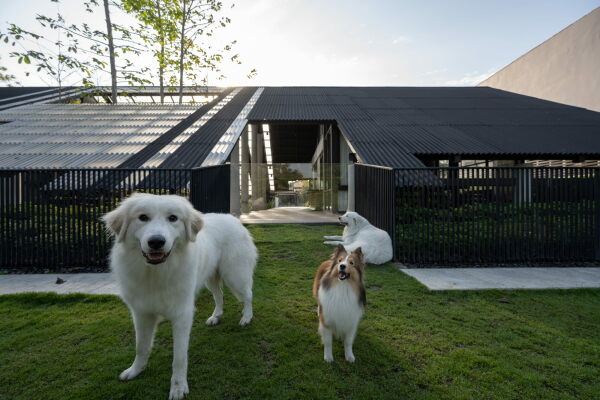 Wohnhaus mit Hundehotel von EKAR in Thailand