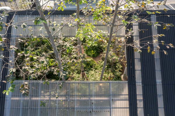 Wohnhaus mit Hundehotel von EKAR in Thailand