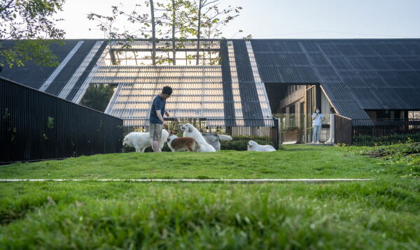 Wohnhaus mit Hundehotel von EKAR in Thailand