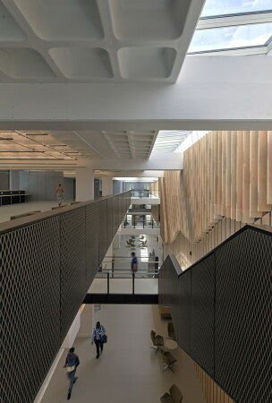 Universittsumbau von WilkinsonEyre in London