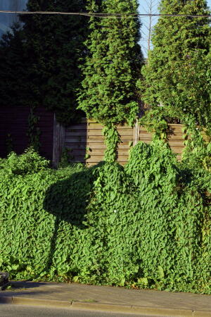Erste Biennale der urbanen Landschaft im Ruhrgebiet