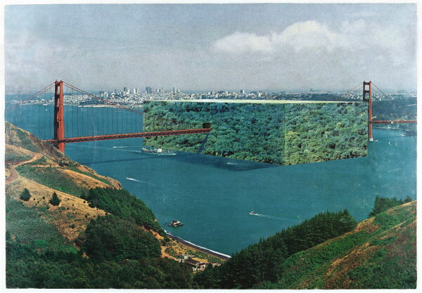 Vorschlag von Superstudio für einen „Forest Cube“ an der Golden Gate Bridge in San Francisco, 1972