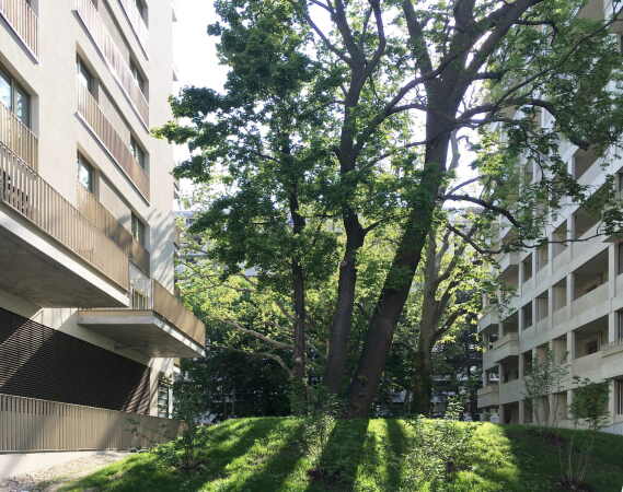 Die Au�engestaltung der Spallartgasse wie auch der Leyserstra�e stammt von B�ro Kandl