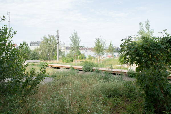 Das stdtebauliche Projekt Freie Mitte in Wien von StudioVlayStreeruwitz ist eines der wenigen Projekte auf der Triennale, das nicht in Skandinvaien liegt.