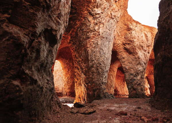 Erdhaus in Japan von junya.ishigami+associates